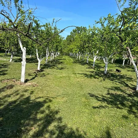 Charming Place In The Nature-casita Iris Gospodarstwo agroturystyczne *