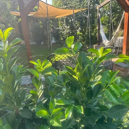 Charming Place In The Nature-casita Iris Gospodarstwo agroturystyczne *