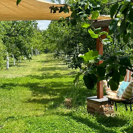 Gospodarstwo agroturystyczne Charming Place In The Nature-casita Iris